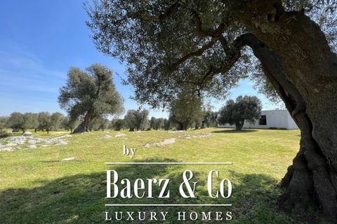 Villa i Carovigno, Brindisi, Carovigno - € 1.470.000 | Ref: V523 - foto 26
