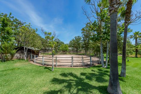 Landejendom i Binissalem, Mallorca, Binissalem - € 5.900.000 | Ref: BIN52799RM - foto 37