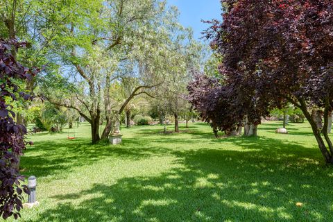 Landejendom i Binissalem, Mallorca, Binissalem - € 5.900.000 | Ref: BIN52799RM - foto 39