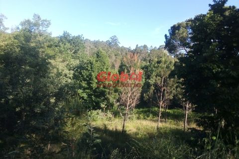 Helårsgrund i Viseu, Viseu, Viseu - € 26.150 | Ref: 189222177 - foto 2