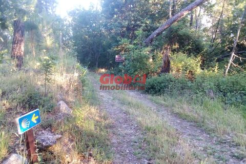 Helårsgrund i Viseu, Viseu, Viseu - € 45.000 | Ref: 189222178 - foto 2
