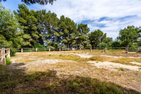 Terra a Javea, Alicante, Javea - € 265.000 | Ref: J429 - foto 2