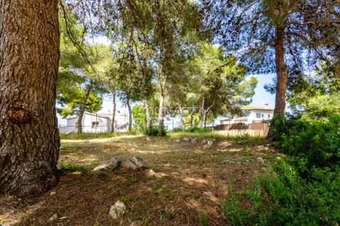 Terra a Javea, Alicante, Javea - € 265.000 | Ref: J429 - foto 3