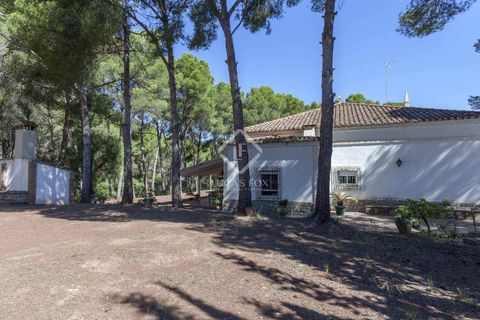 Villa a Naquera, Valencia, Naquera - € 900.000 | Ref: VAL34752 - foto 11