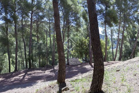 Villa a Naquera, Valencia, Naquera - € 900.000 | Ref: VAL34752 - foto 36