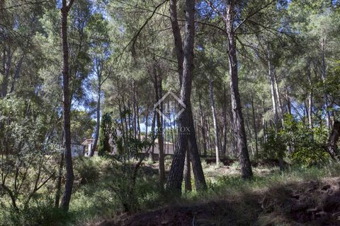 Villa a Naquera, Valencia, Naquera - € 900.000 | Ref: VAL34752 - foto 42