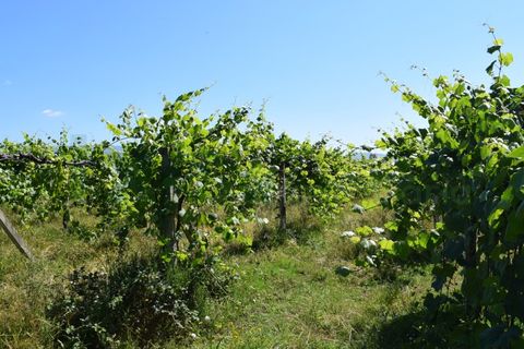 Helårsgrund i Moncao, Viana do Castelo, Moncao - € 1.500.000 | Ref: MNC1283T - foto 2