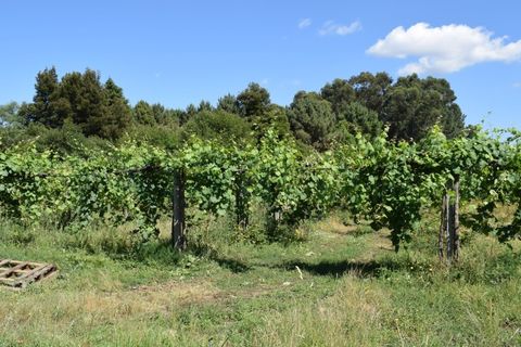 Helårsgrund i Moncao, Viana do Castelo, Moncao - € 1.500.000 | Ref: MNC1283T - foto 3