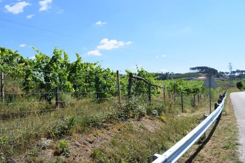 Helårsgrund i Moncao, Viana do Castelo, Moncao - € 3.000.000 | Ref: MNC1282T - foto 2