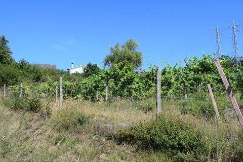 Helårsgrund i Moncao, Viana do Castelo, Moncao - € 3.000.000 | Ref: MNC1282T - foto 3