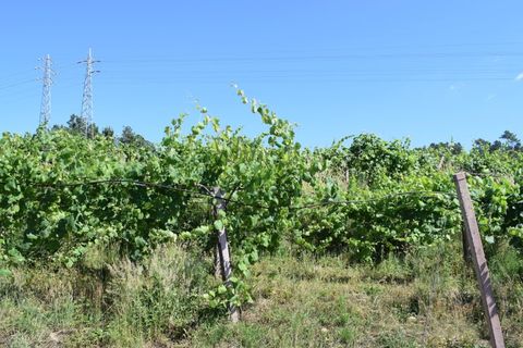 Helårsgrund i Moncao, Viana do Castelo, Moncao - € 3.000.000 | Ref: MNC1282T - foto 4