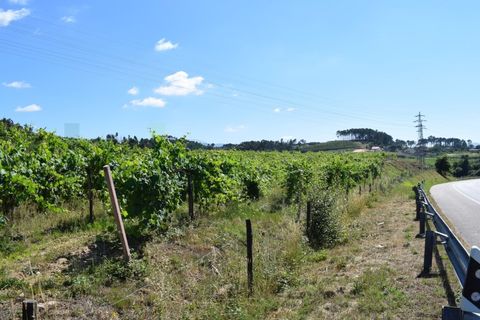Helårsgrund i Moncao, Viana do Castelo, Moncao - € 3.000.000 | Ref: MNC1282T - foto 7