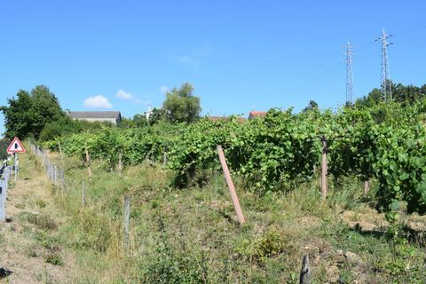 Helårsgrund i Moncao, Viana do Castelo, Moncao - € 3.000.000 | Ref: MNC1282T - foto 8