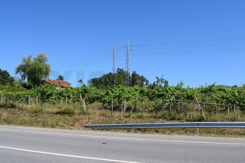 Helårsgrund i Moncao, Viana do Castelo, Moncao - € 3.000.000 | Ref: MNC1282T - foto 9