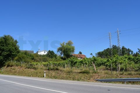Helårsgrund i Moncao, Viana do Castelo, Moncao - € 3.000.000 | Ref: MNC1282T - foto 10