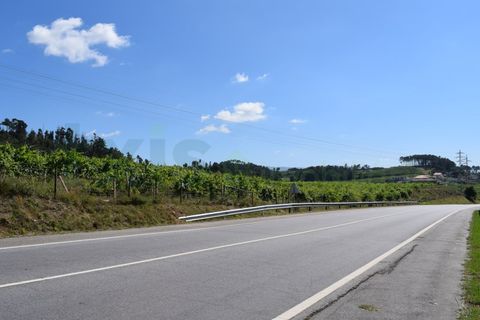 Helårsgrund i Moncao, Viana do Castelo, Moncao - € 3.000.000 | Ref: MNC1282T - foto 11