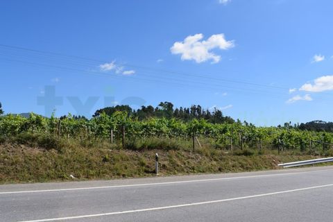 Helårsgrund i Moncao, Viana do Castelo, Moncao - € 3.000.000 | Ref: MNC1282T - foto 12