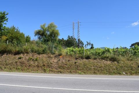 Helårsgrund i Moncao, Viana do Castelo, Moncao - € 3.000.000 | Ref: MNC1282T - foto 13