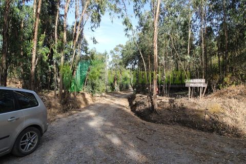 Terra a Marmelete, Faro, Marmelete - € 118.000 | Ref: LT-5651 - foto 9