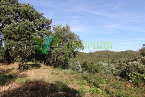 Terra a Marmelete, Faro, Marmelete - € 118.000 | Ref: LT-5651 - foto 4