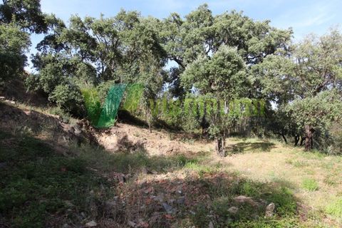 Terra a Marmelete, Faro, Marmelete - € 118.000 | Ref: LT-5651 - foto 13