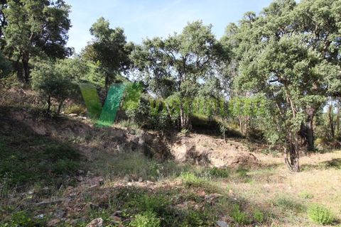 Terra a Marmelete, Faro, Marmelete - € 118.000 | Ref: LT-5651 - foto 5