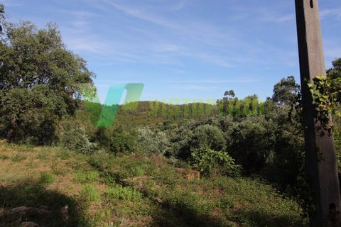 Terra a Marmelete, Faro, Marmelete - € 118.000 | Ref: LT-5651 - foto 10