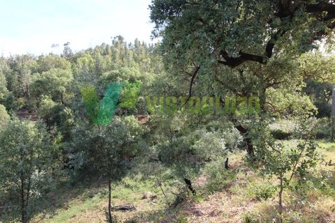 Terra a Marmelete, Faro, Marmelete - € 118.000 | Ref: LT-5651 - foto 11
