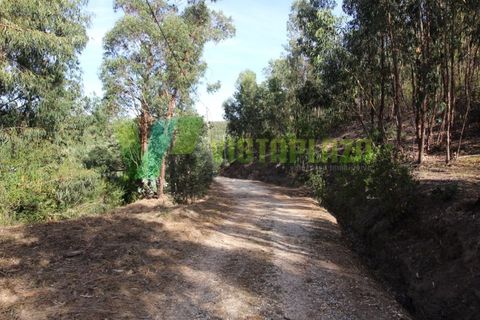 Terra a Marmelete, Faro, Marmelete - € 118.000 | Ref: LT-5651 - foto 6