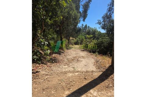 Terra a Marmelete, Faro, Marmelete - € 118.000 | Ref: LT-5651 - foto 2