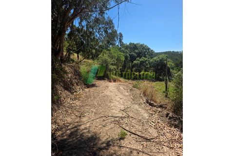 Terra a Marmelete, Faro, Marmelete - € 118.000 | Ref: LT-5651 - foto 17