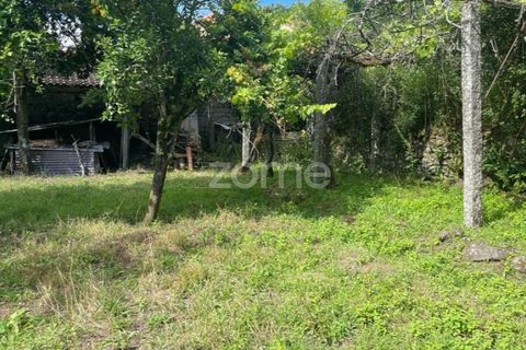 Villa i Ponte da Barca, Viana do Castelo, Ponte da Barca - € 39.000 | Ref: ZMPT550676 - foto 21