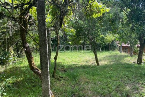 Villa i Ponte da Barca, Viana do Castelo, Ponte da Barca - € 39.000 | Ref: ZMPT550676 - foto 25