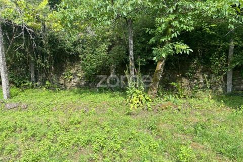 Villa i Ponte da Barca, Viana do Castelo, Ponte da Barca - € 39.000 | Ref: ZMPT550676 - foto 26