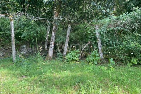Villa i Ponte da Barca, Viana do Castelo, Ponte da Barca - € 39.000 | Ref: ZMPT550676 - foto 27