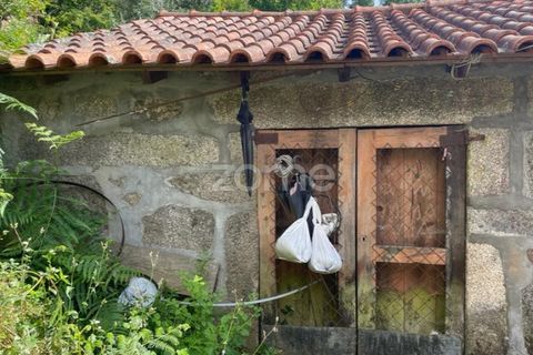 Villa i Ponte da Barca, Viana do Castelo, Ponte da Barca - € 39.000 | Ref: ZMPT550676 - foto 12