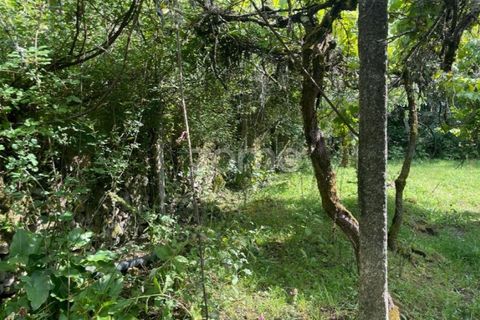 Villa i Ponte da Barca, Viana do Castelo, Ponte da Barca - € 39.000 | Ref: ZMPT550676 - foto 23