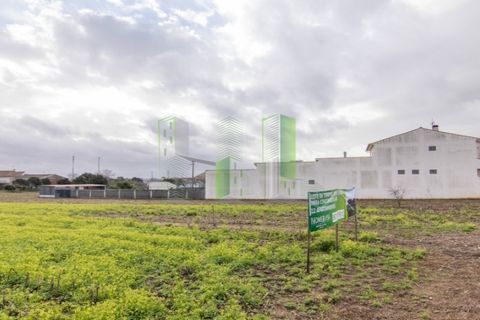 Terra a Paiao, Coimbra, Paiao - € 65.000 | Ref: FFJR 3873 - foto 4