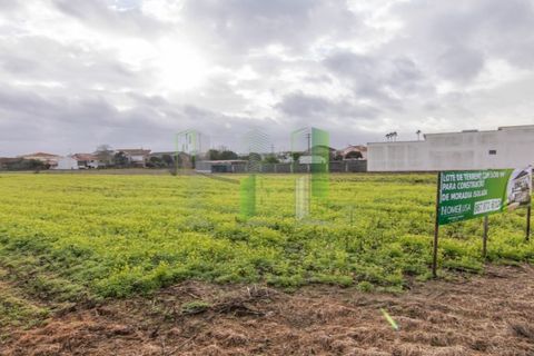 Terra a Paiao, Coimbra, Paiao - € 65.000 | Ref: FFJR 3873 - foto 5