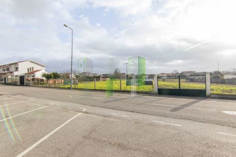 Terra a Paiao, Coimbra, Paiao - € 65.000 | Ref: FFJR 3873 - foto 6