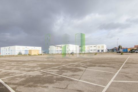 Terra a Paiao, Coimbra, Paiao - € 65.000 | Ref: FFJR 3873 - foto 9