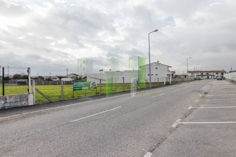 Terra a Paiao, Coimbra, Paiao - € 65.000 | Ref: FFJR 3873 - foto 10