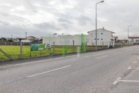 Terra a Paiao, Coimbra, Paiao - € 65.000 | Ref: FFJR 3873 - foto 11