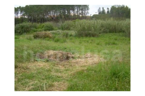 Helårsgrund i Tavarede, Coimbra, Tavarede - € 1.200.000 | Ref: 1352 - foto 2