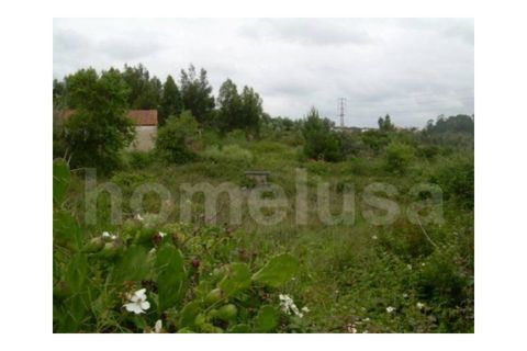 Helårsgrund i Tavarede, Coimbra, Tavarede - € 1.200.000 | Ref: 1352 - foto 3