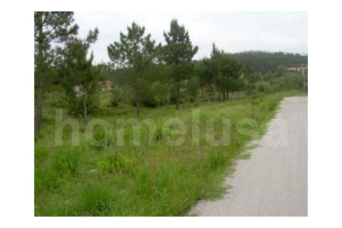 Helårsgrund i Tavarede, Coimbra, Tavarede - € 1.200.000 | Ref: 1352 - foto 4