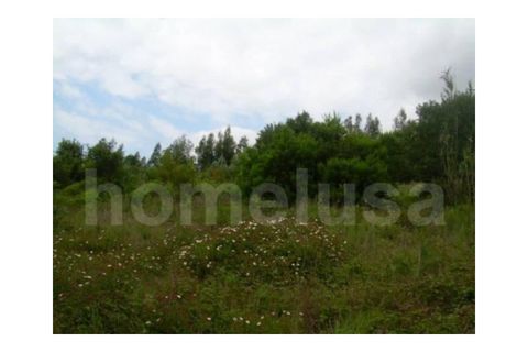Helårsgrund i Tavarede, Coimbra, Tavarede - € 1.200.000 | Ref: 1352 - foto 5