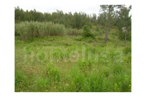 Helårsgrund i Tavarede, Coimbra, Tavarede - € 1.200.000 | Ref: 1352 - foto 6