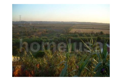 Terra a Vila Verde, Coimbra, Vila Verde - € 55.000 | Ref: 1481 - foto 2
