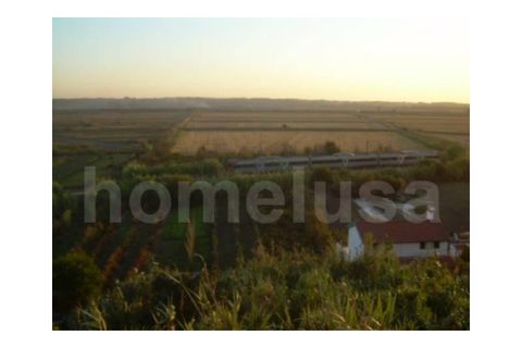 Terra a Vila Verde, Coimbra, Vila Verde - € 55.000 | Ref: 1481 - foto 3